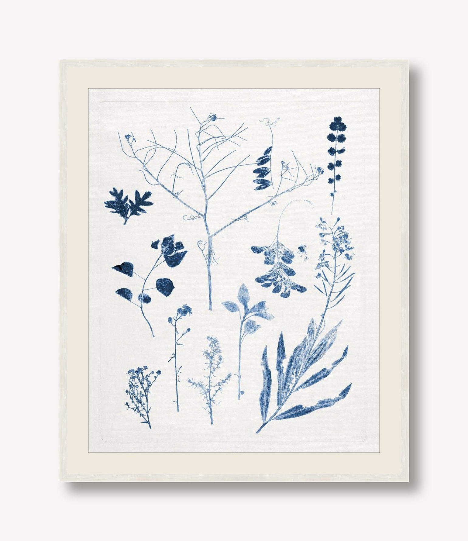 Blue Botanical Study 9 — framed