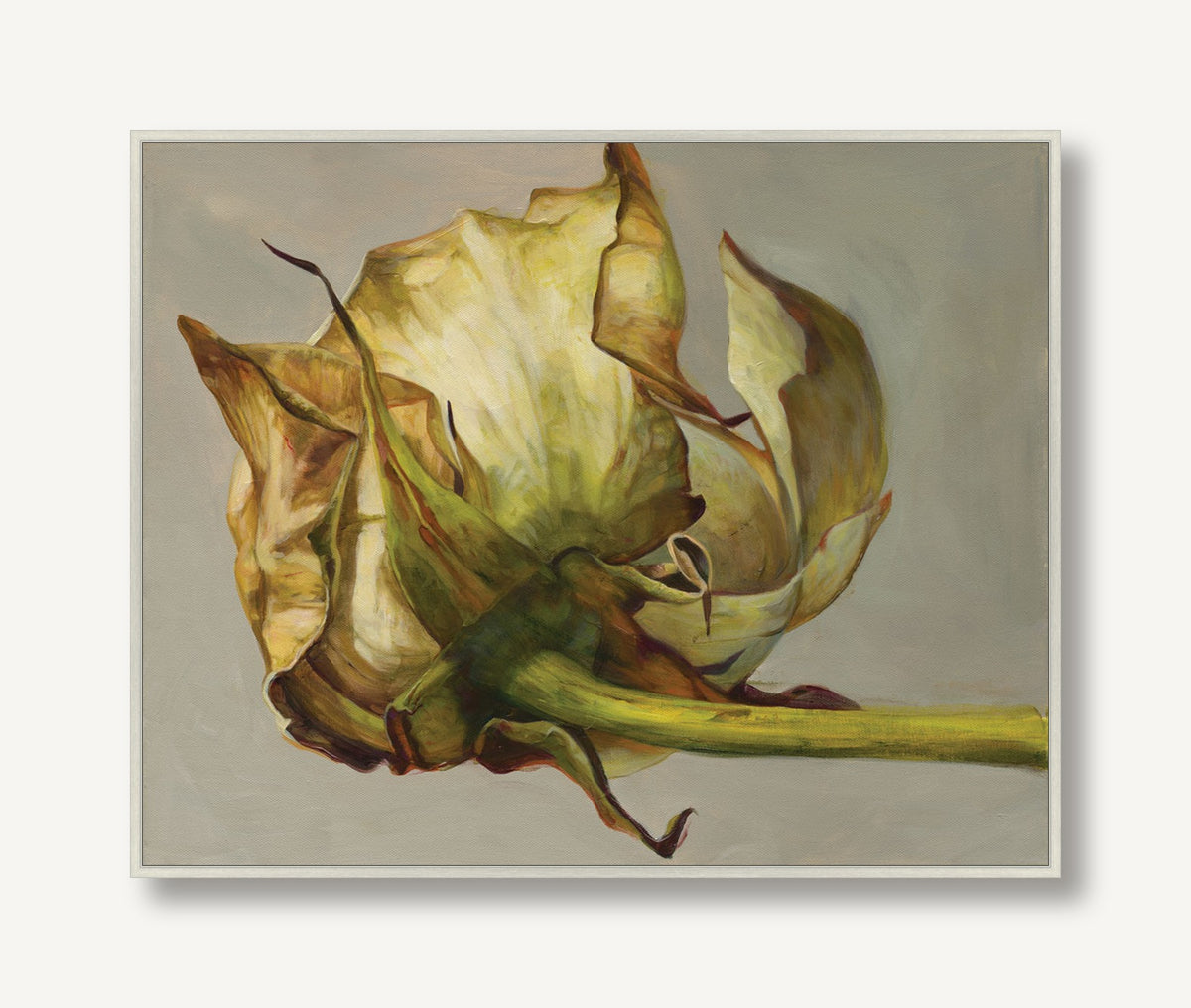 Soft Petals 1 — framed