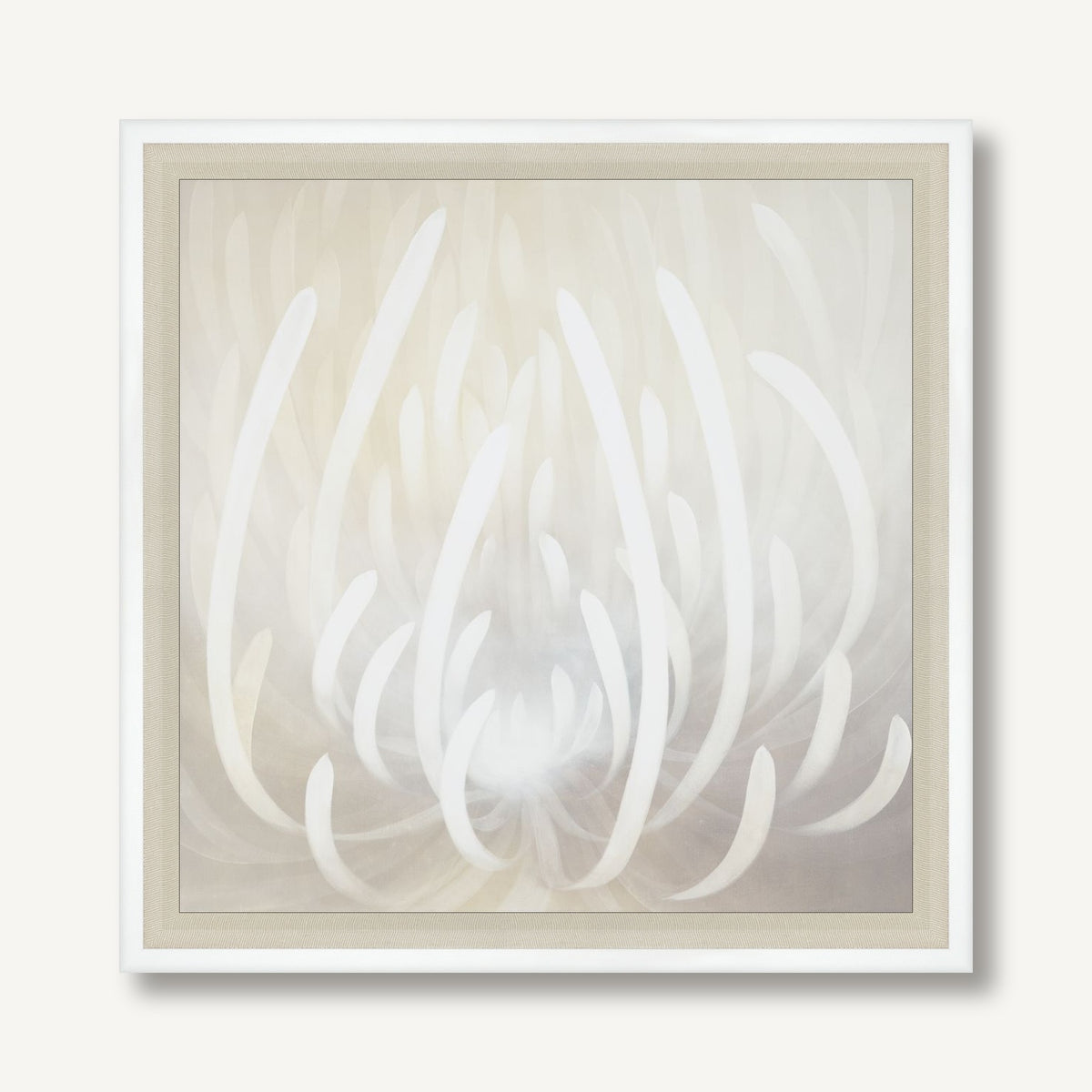 STAF-E002-01 framed