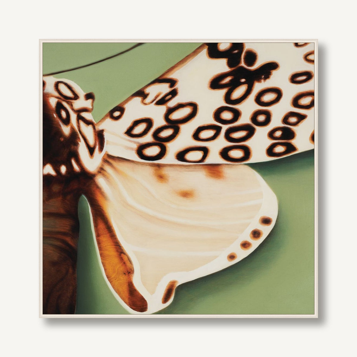 STNA-T002-04 framed