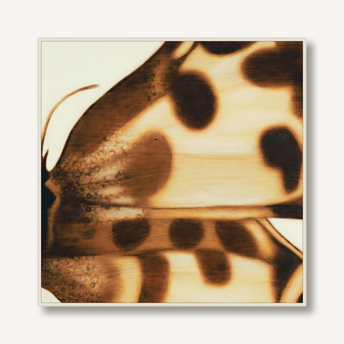 STNA-T002-05 framed
