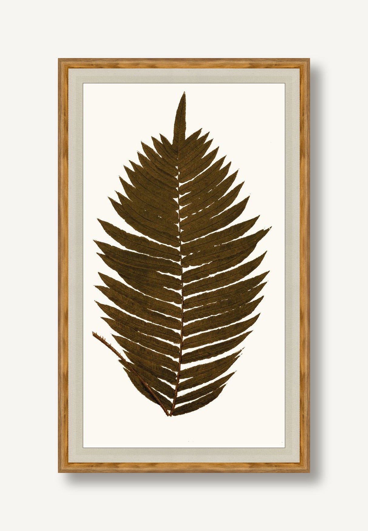 STNO-A001-01 framed