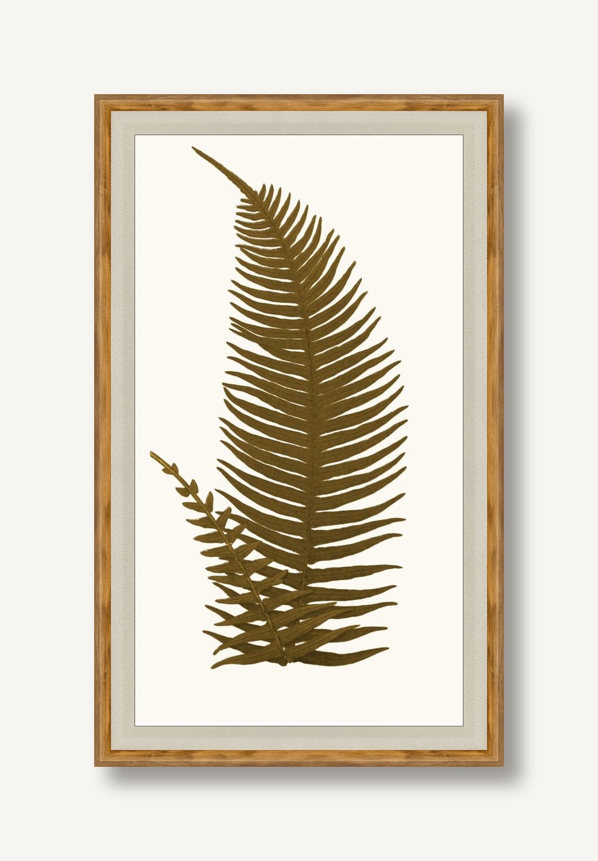 STNO-A001-03 framed
