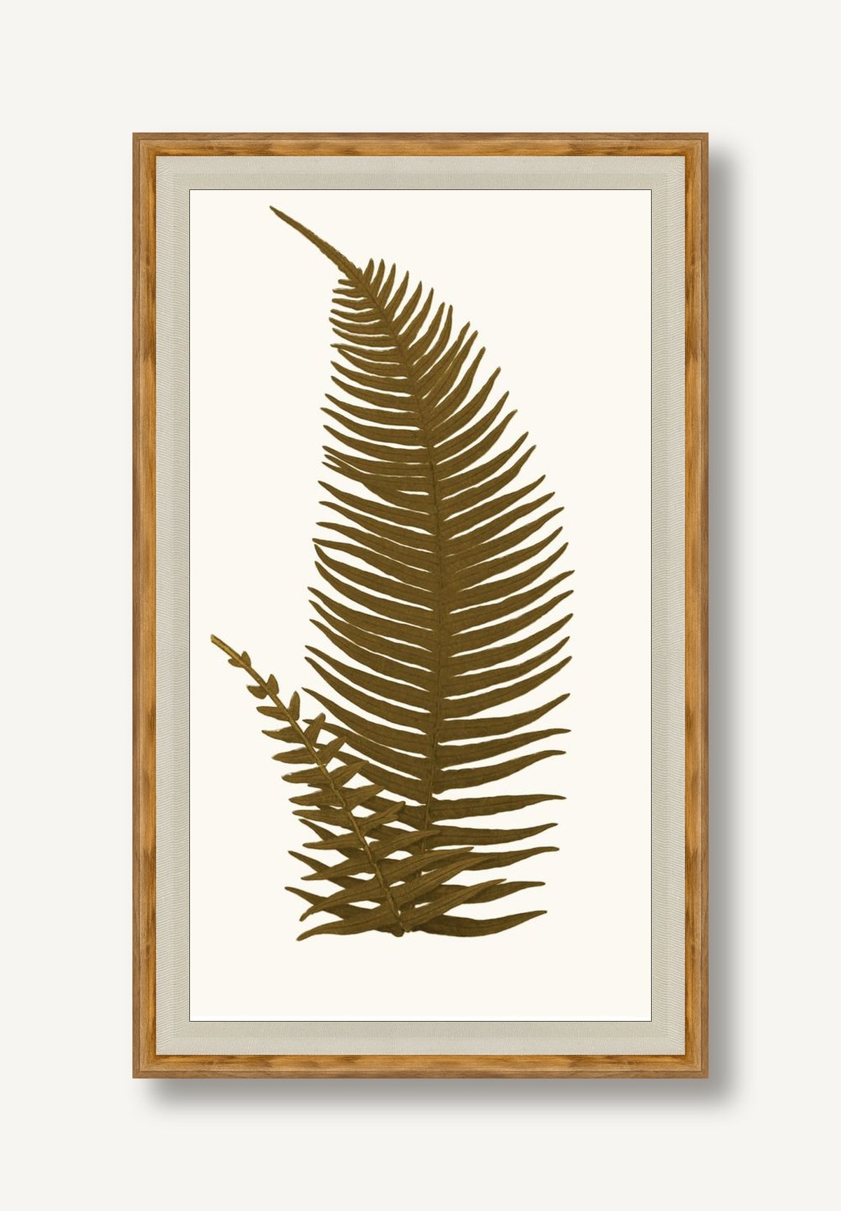 STNO-A001-03 framed
