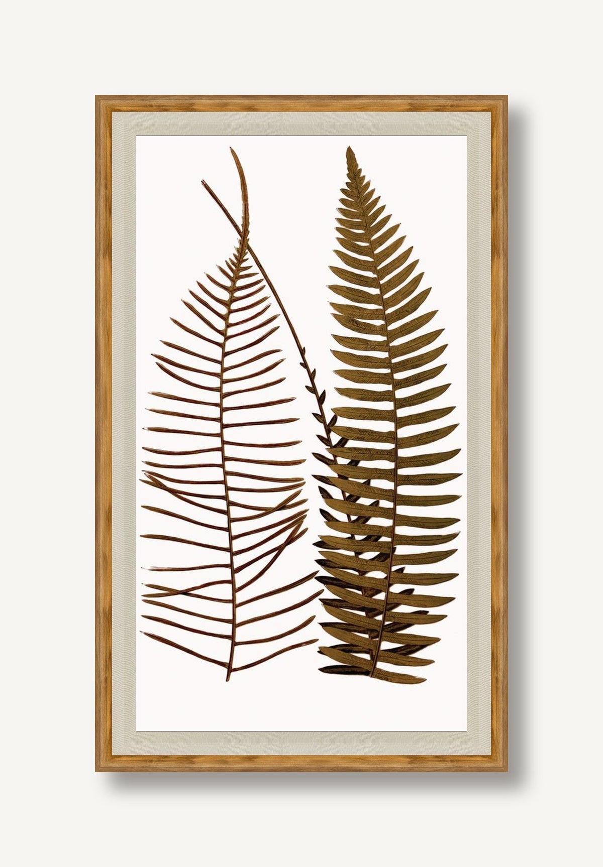 STNO-A001-04 framed