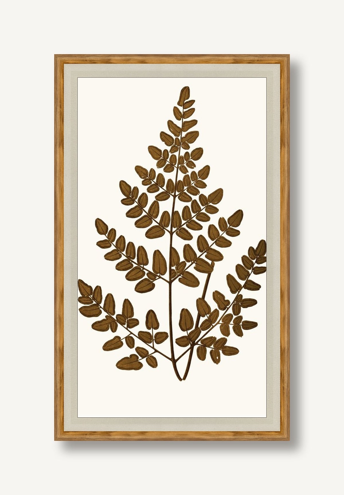 STNO-A001-05 framed