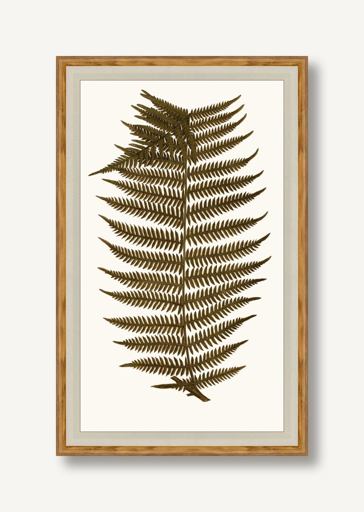 STNO-A001-06 framed