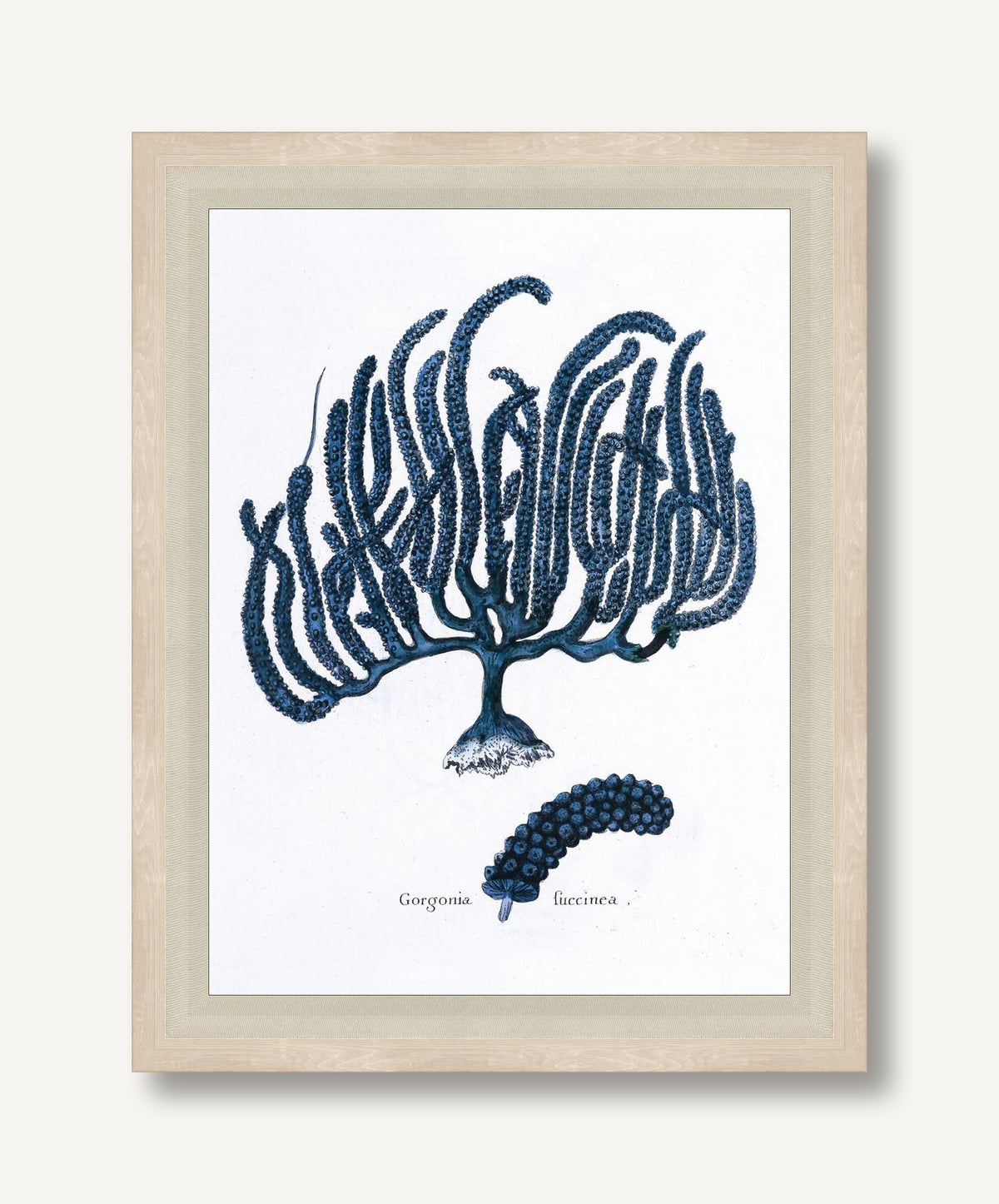 STNO-B002-01 framed