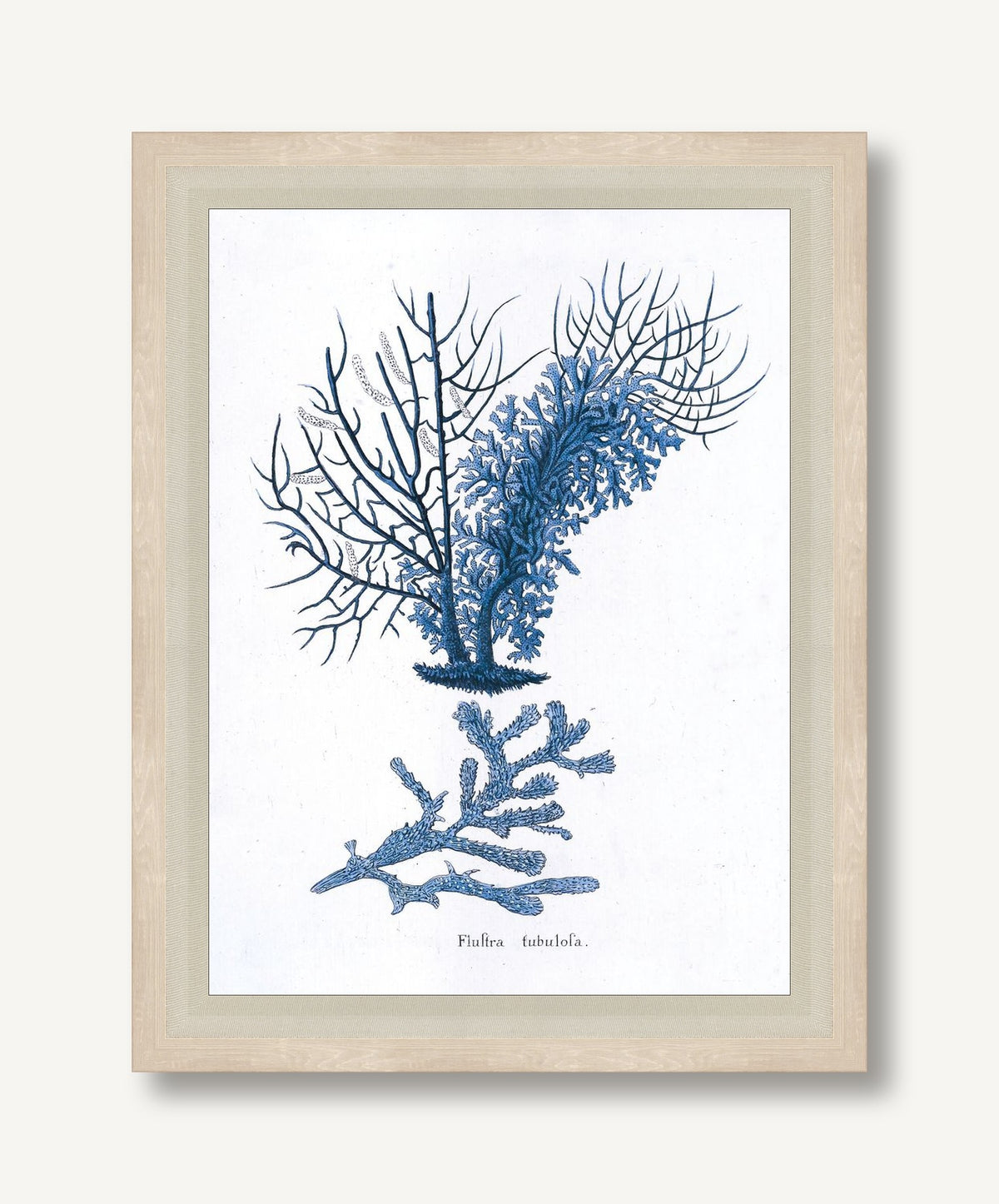 STNO-B002-03 framed