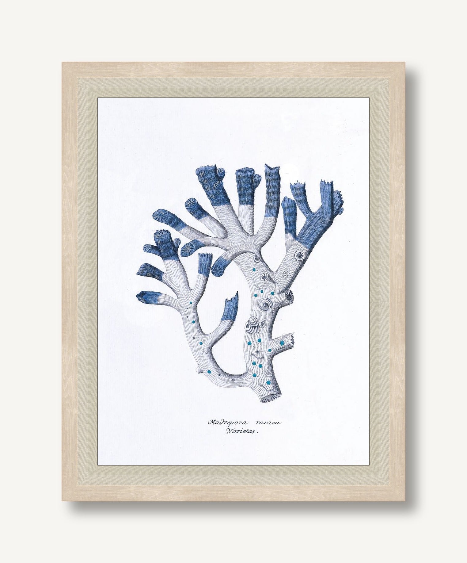 STNO-B002-04 framed