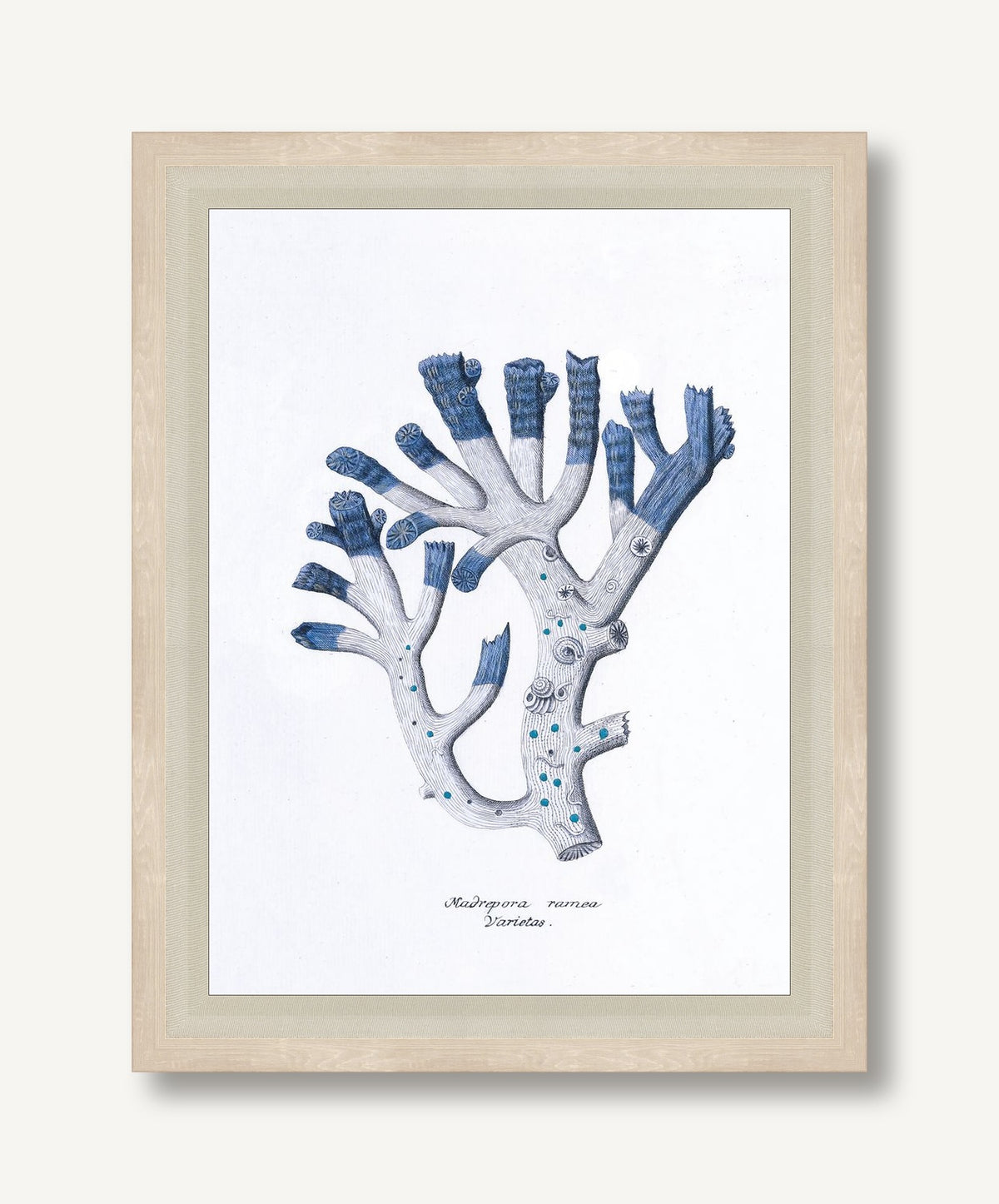 STNO-B002-04 framed