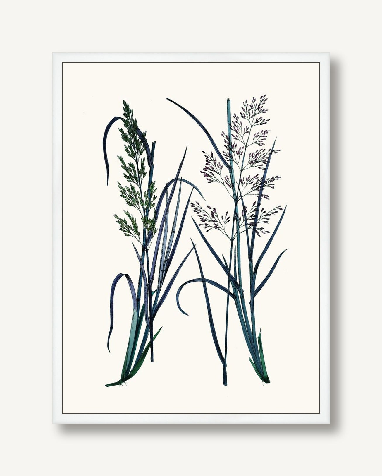 STNO-C002-01 framed