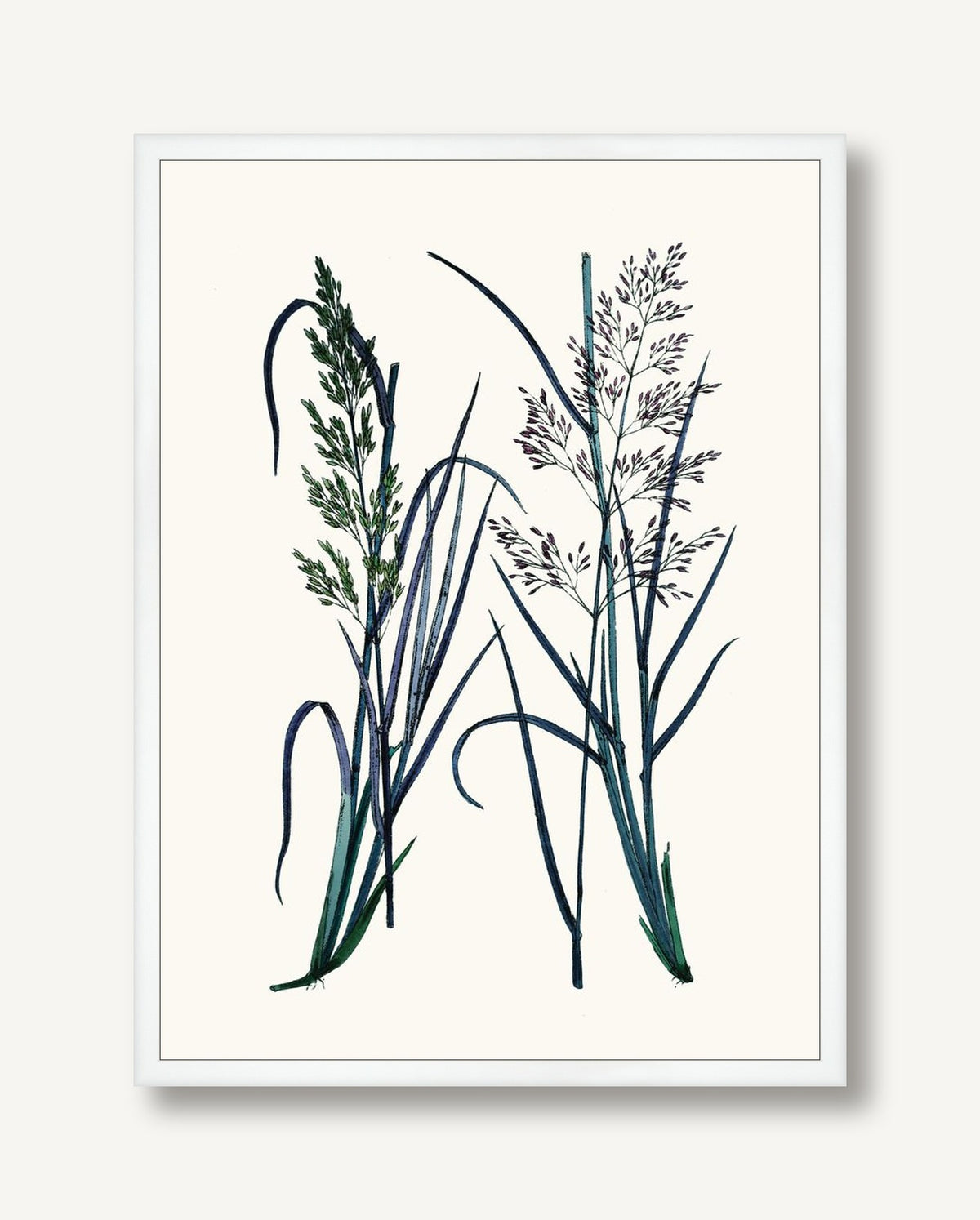 STNO-C002-01 framed