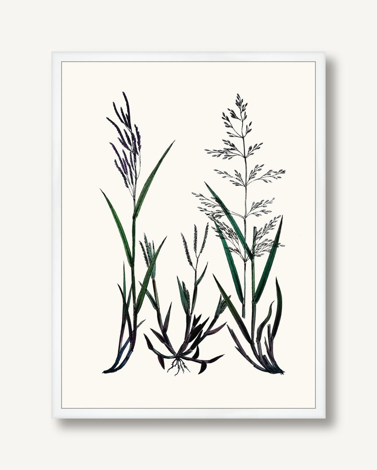 STNO-C002-02 framed
