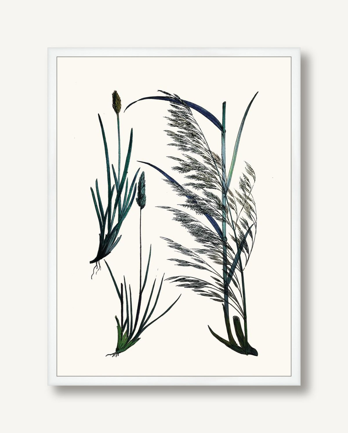 STNO-C002-04 framed