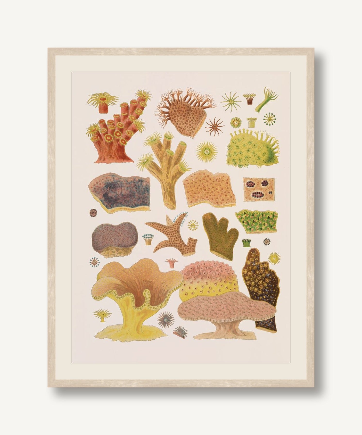 STNO-C017-01 framed