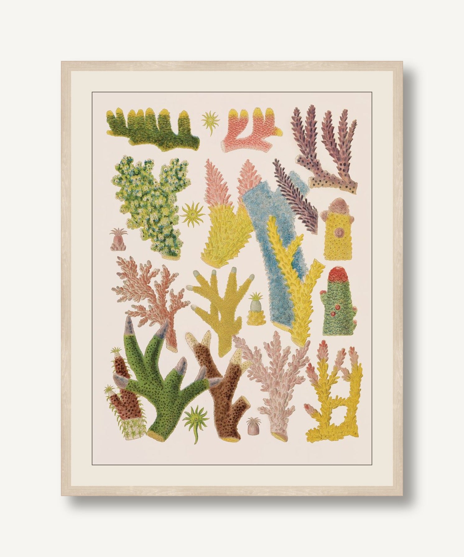 STNO-C017-02 framed