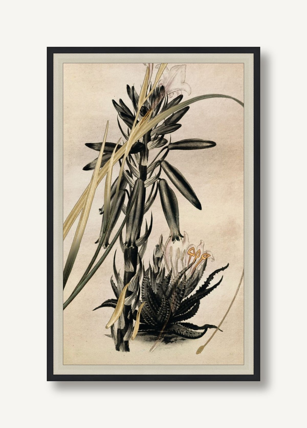 STNO-G001-02 framed