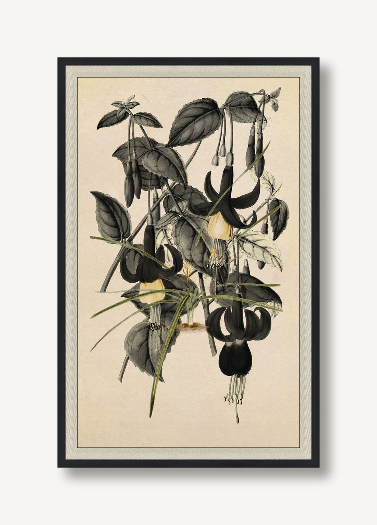STNO-G001-03 framed