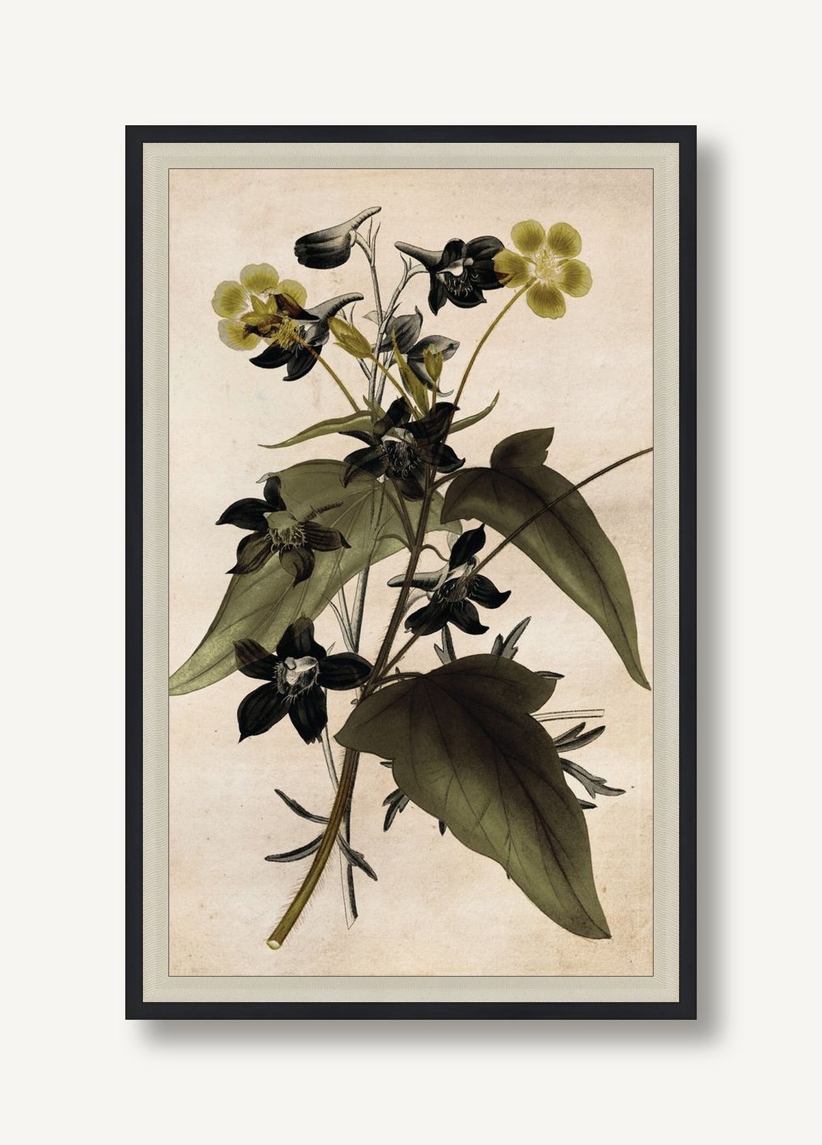 STNO-G001-05 framed