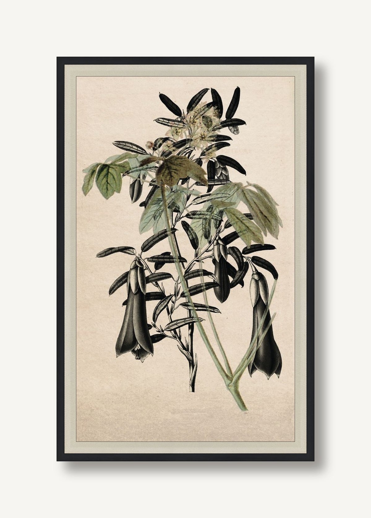 STNO-G001-06 framed