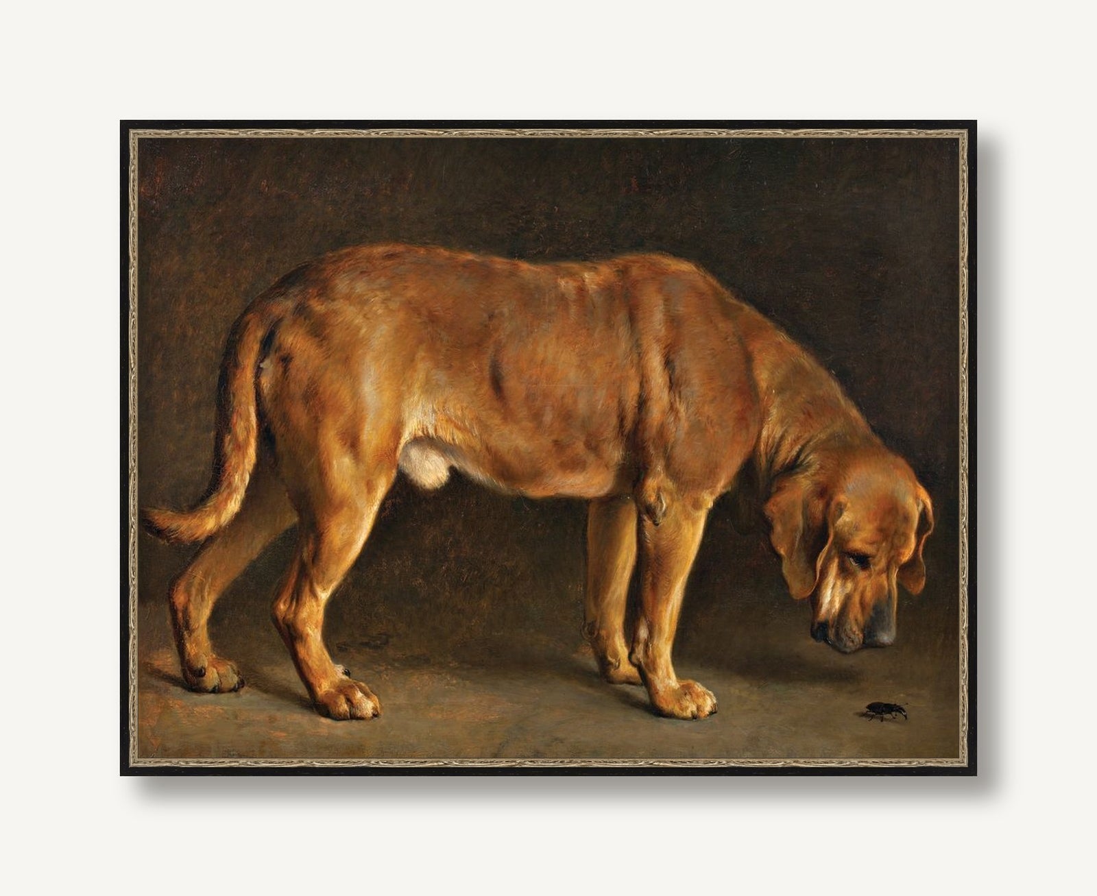 Hound and Beetle 1 — framed