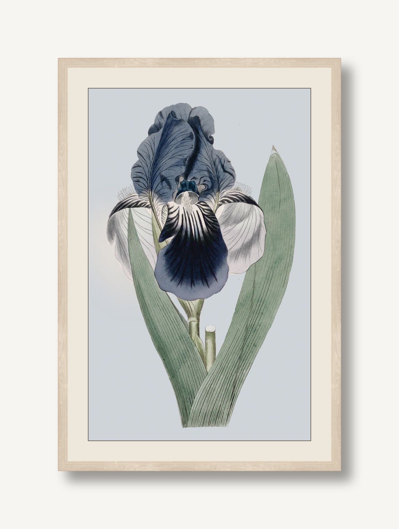 STNO-P002-02 framed