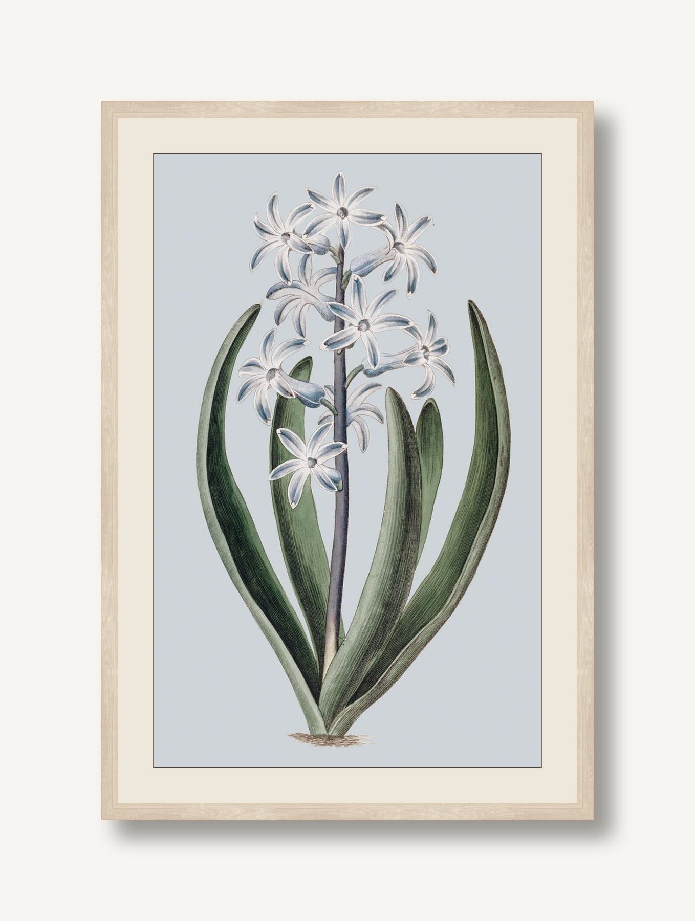 STNO-P002-04 framed
