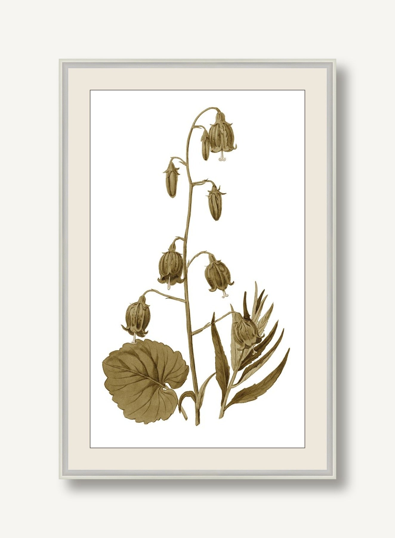 STNO-S001-02 framed
