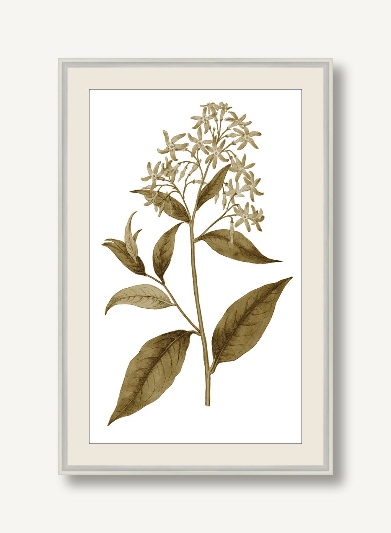 STNO-S001-03 framed