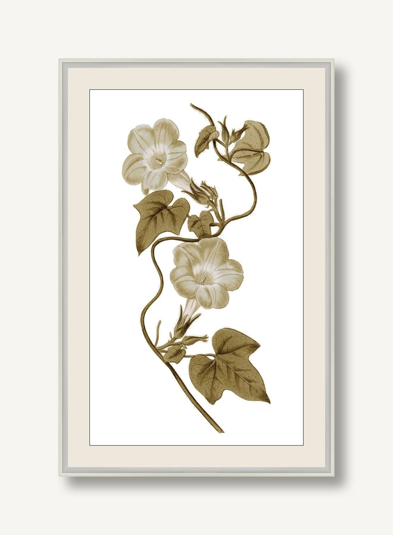 STNO-S001-04 framed