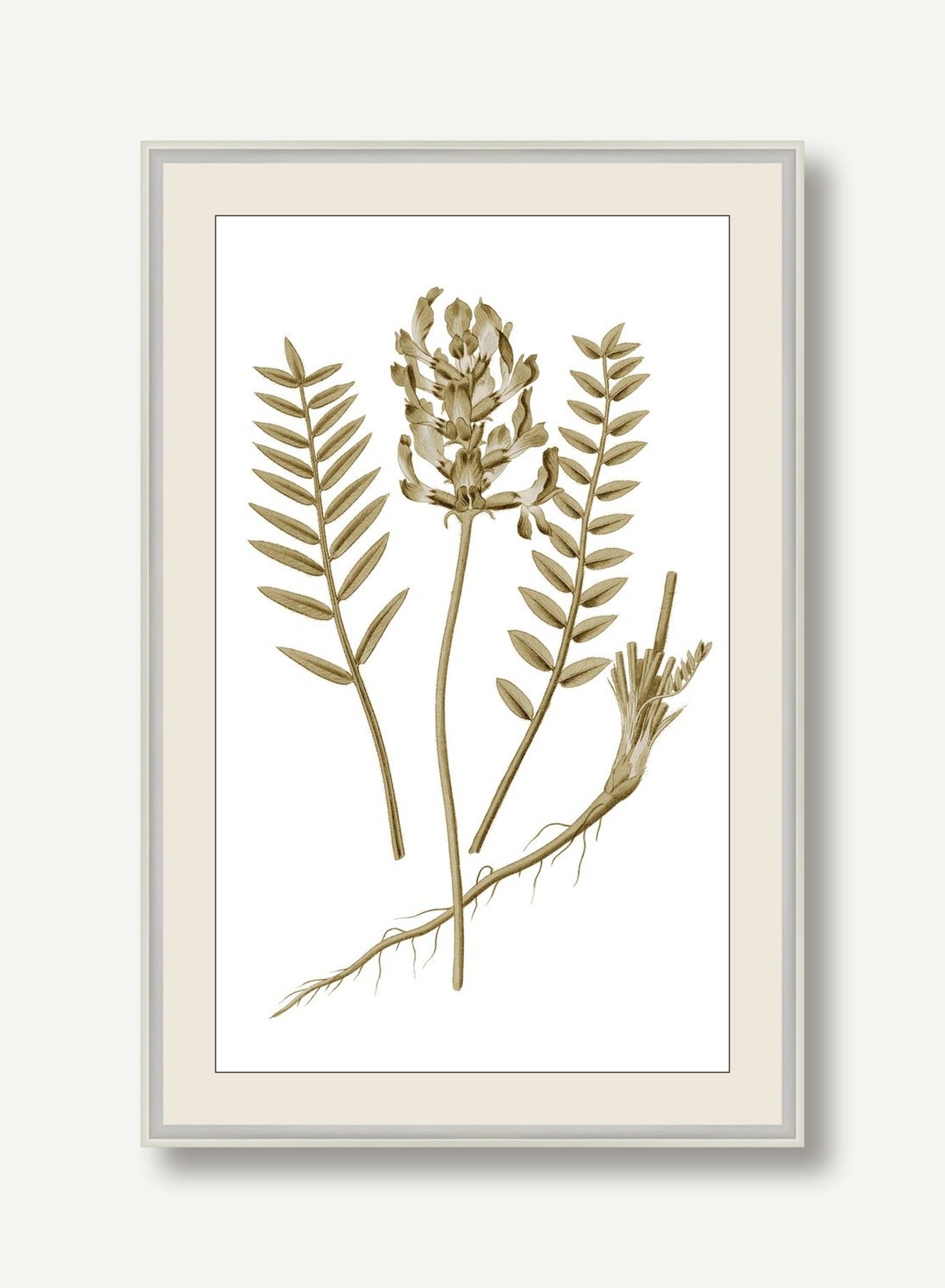 STNO-S001-06 framed