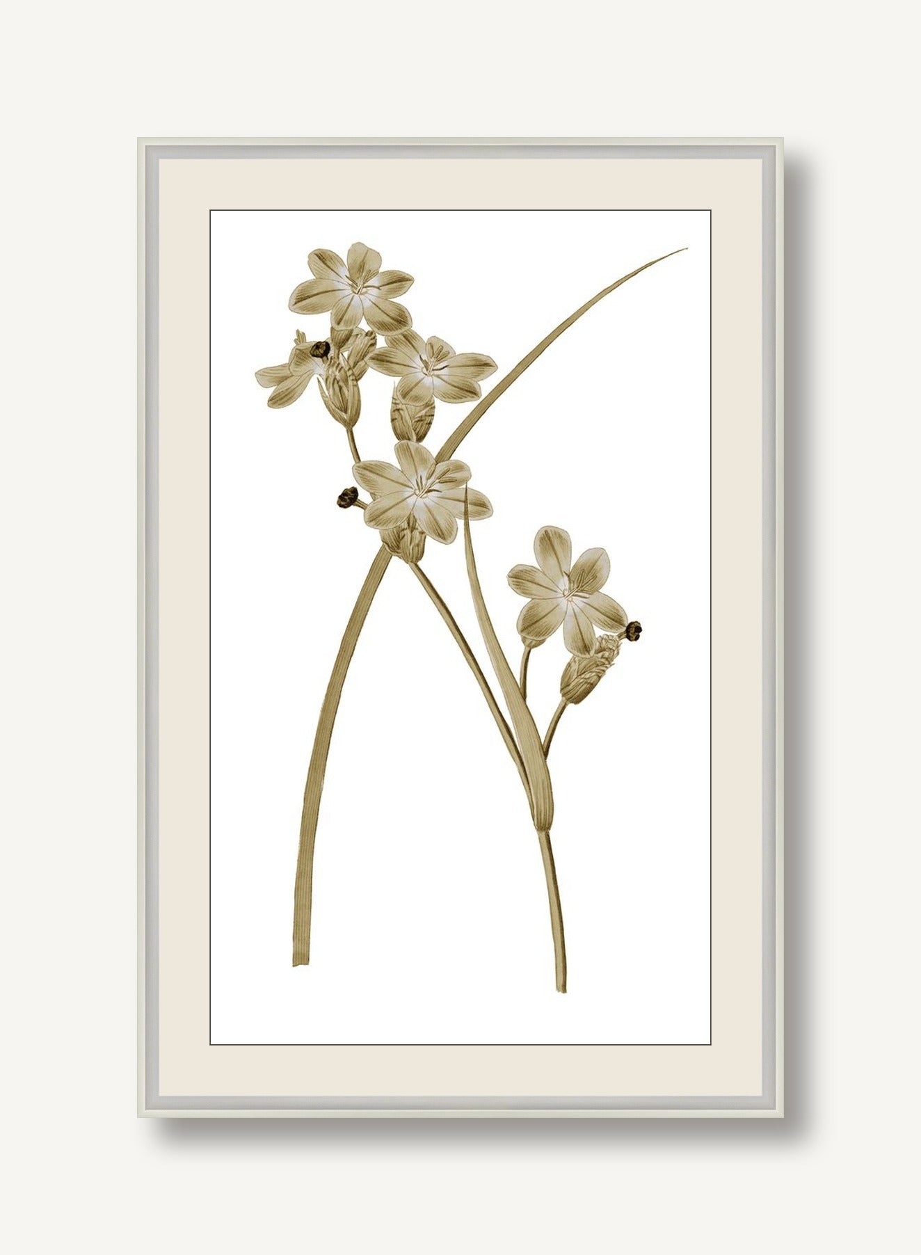 STNO-S001-07 framed