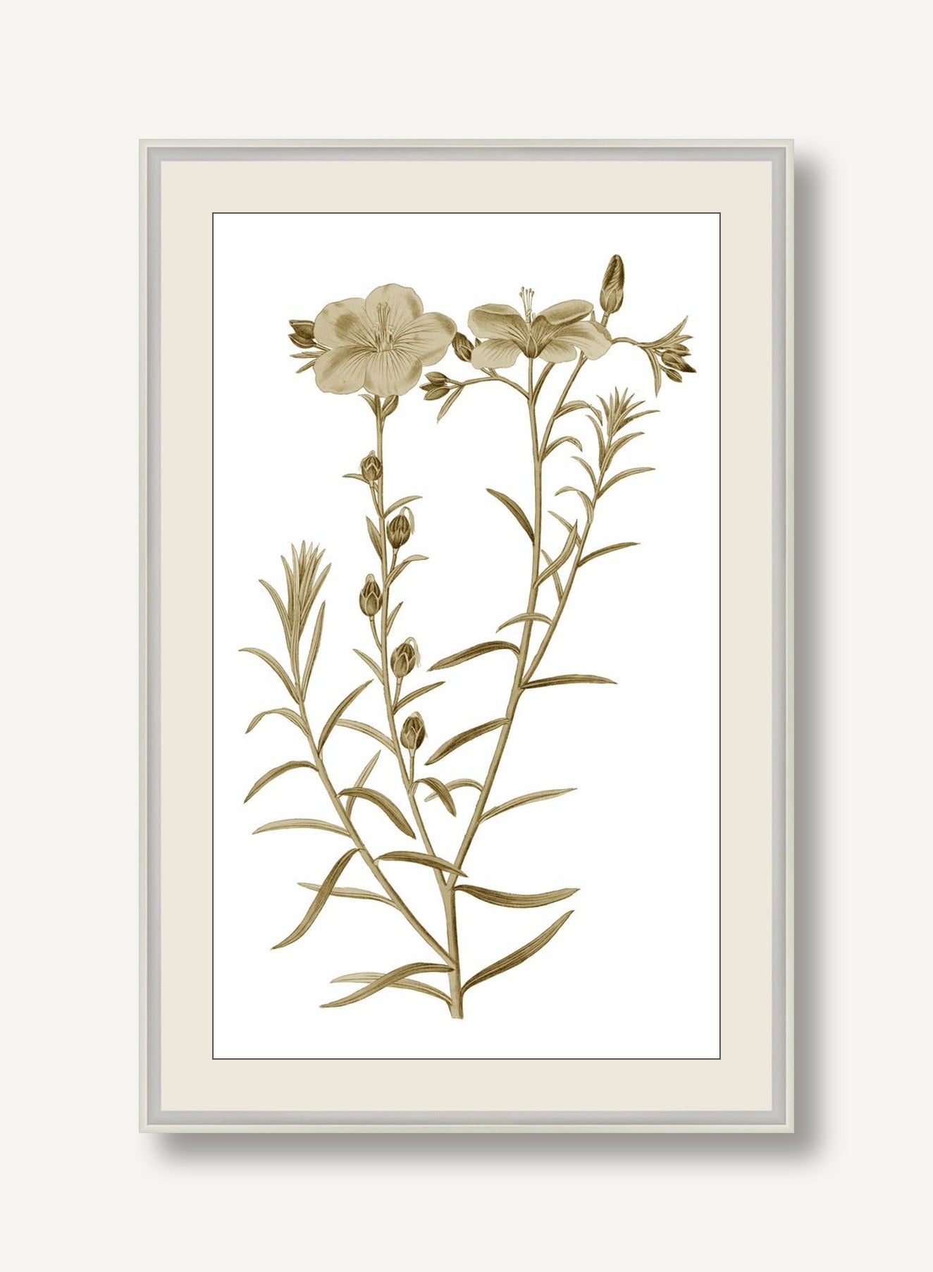 STNO-S001-08 framed