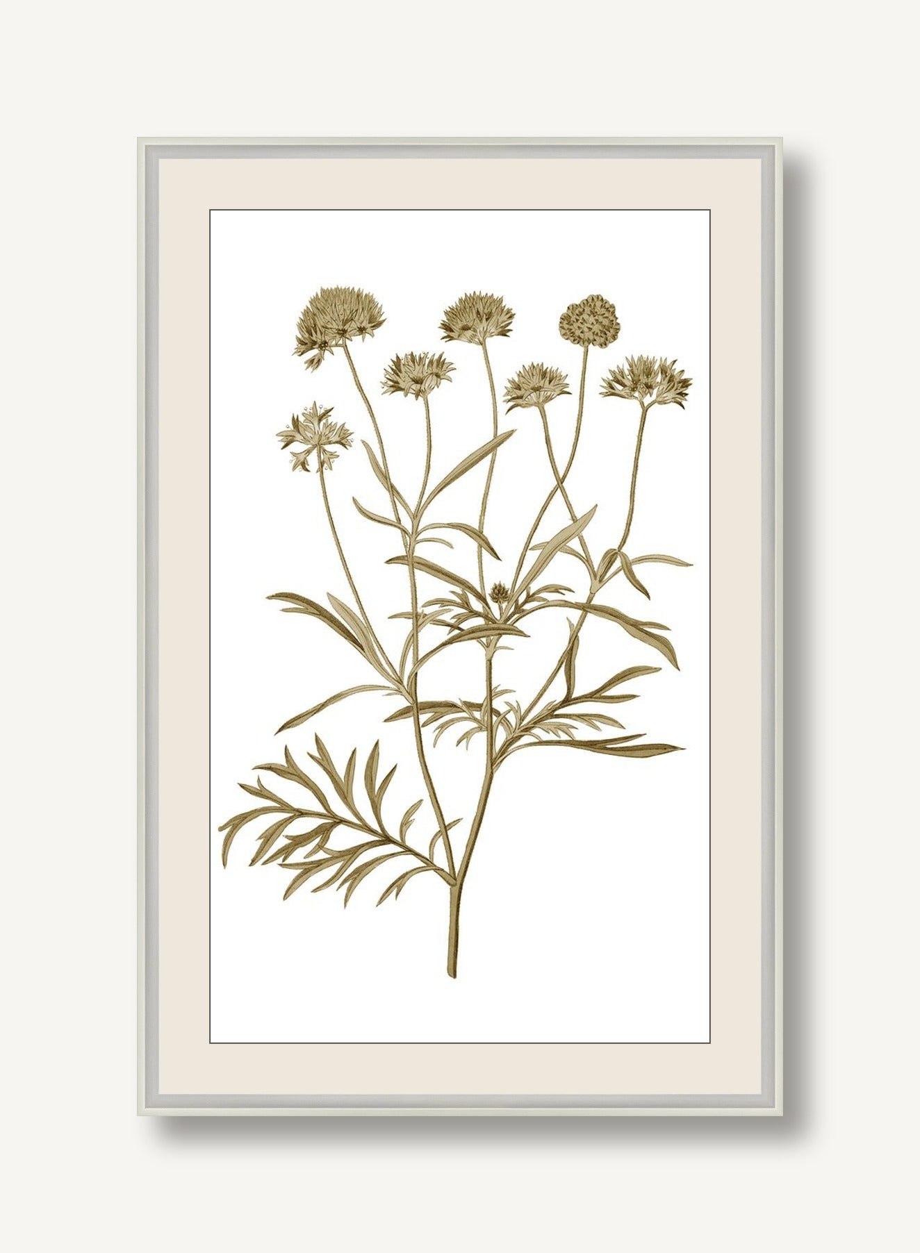 STNO-S001-09 framed