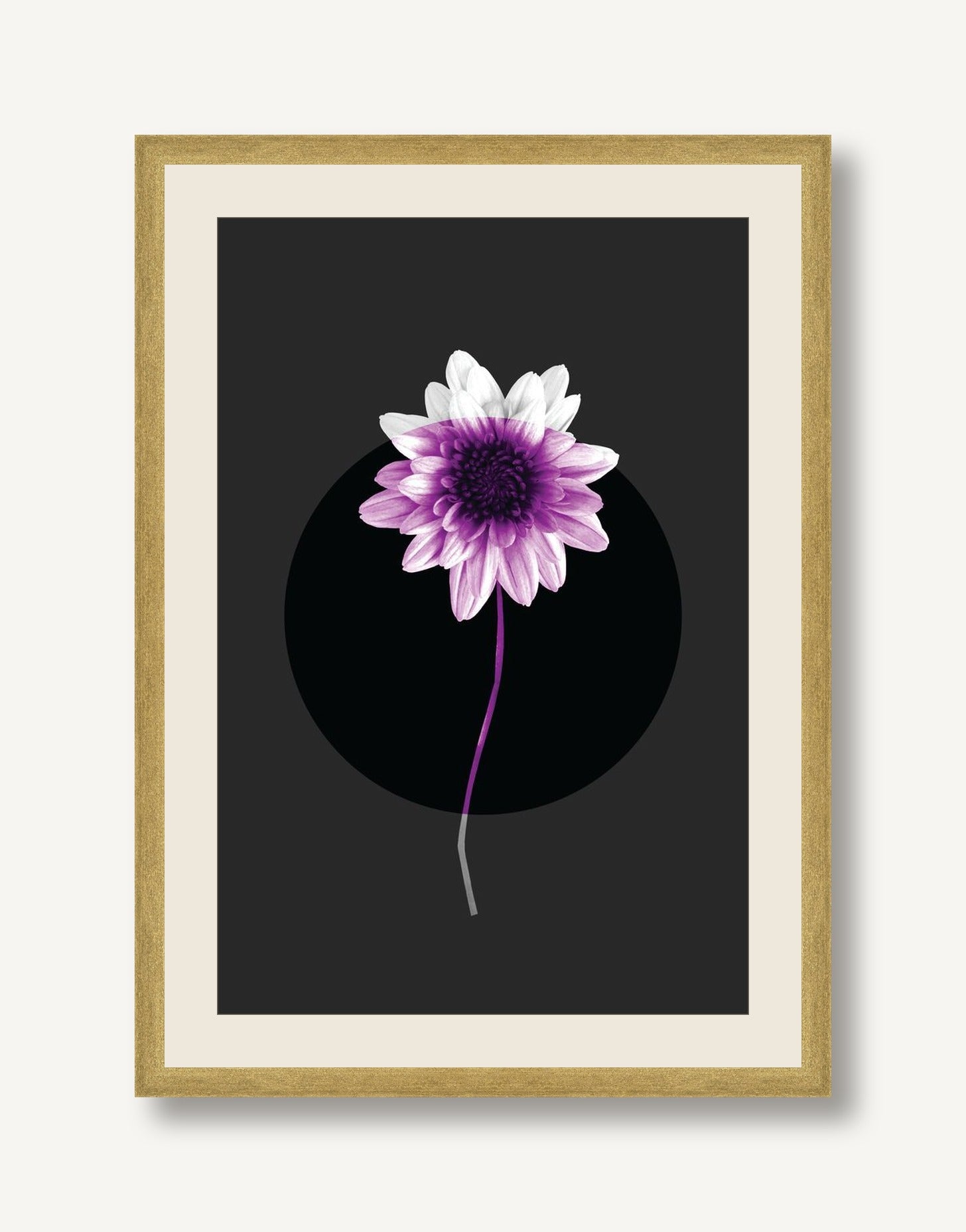 STSC-C008-04 framed
