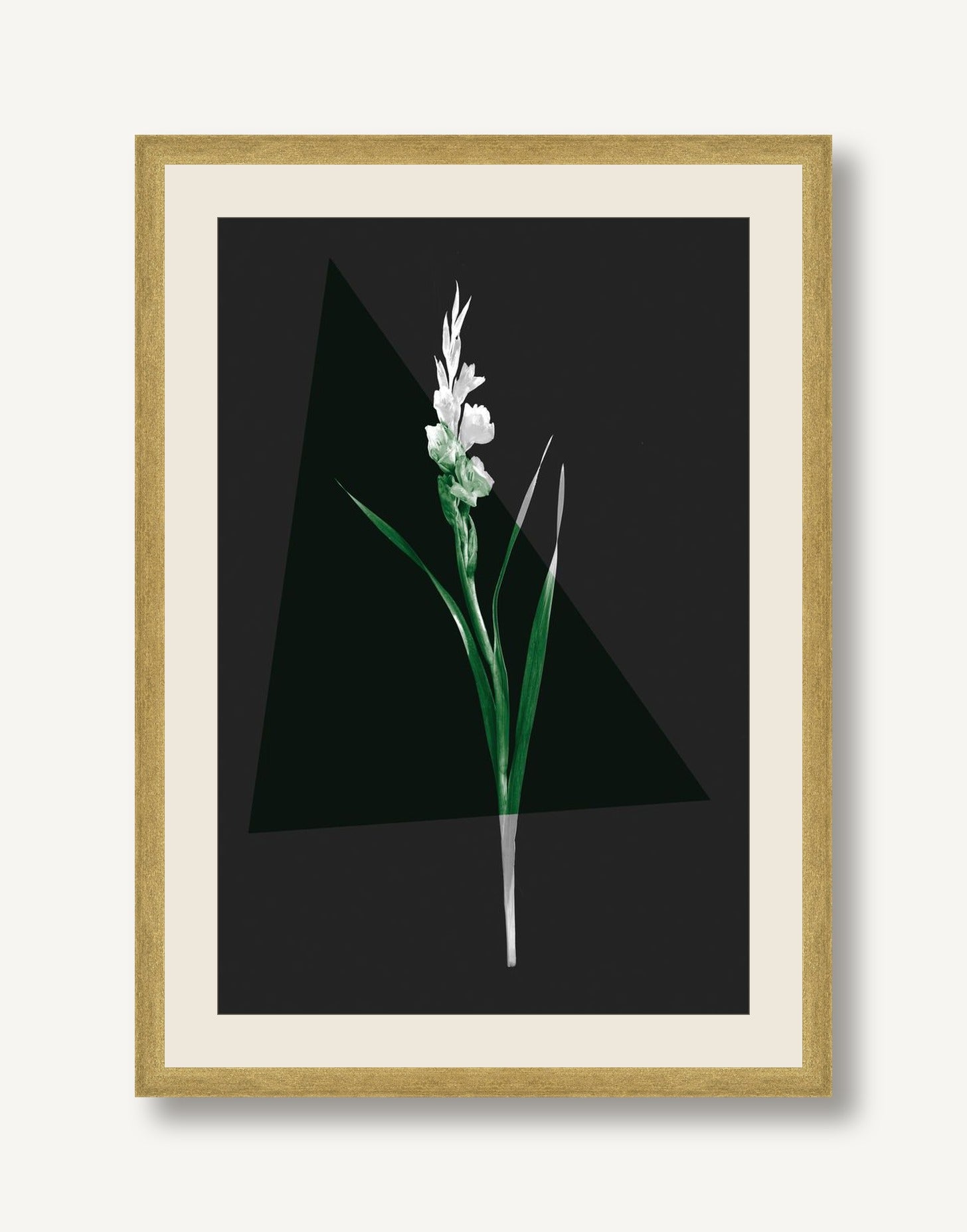 STSC-C008-06 framed