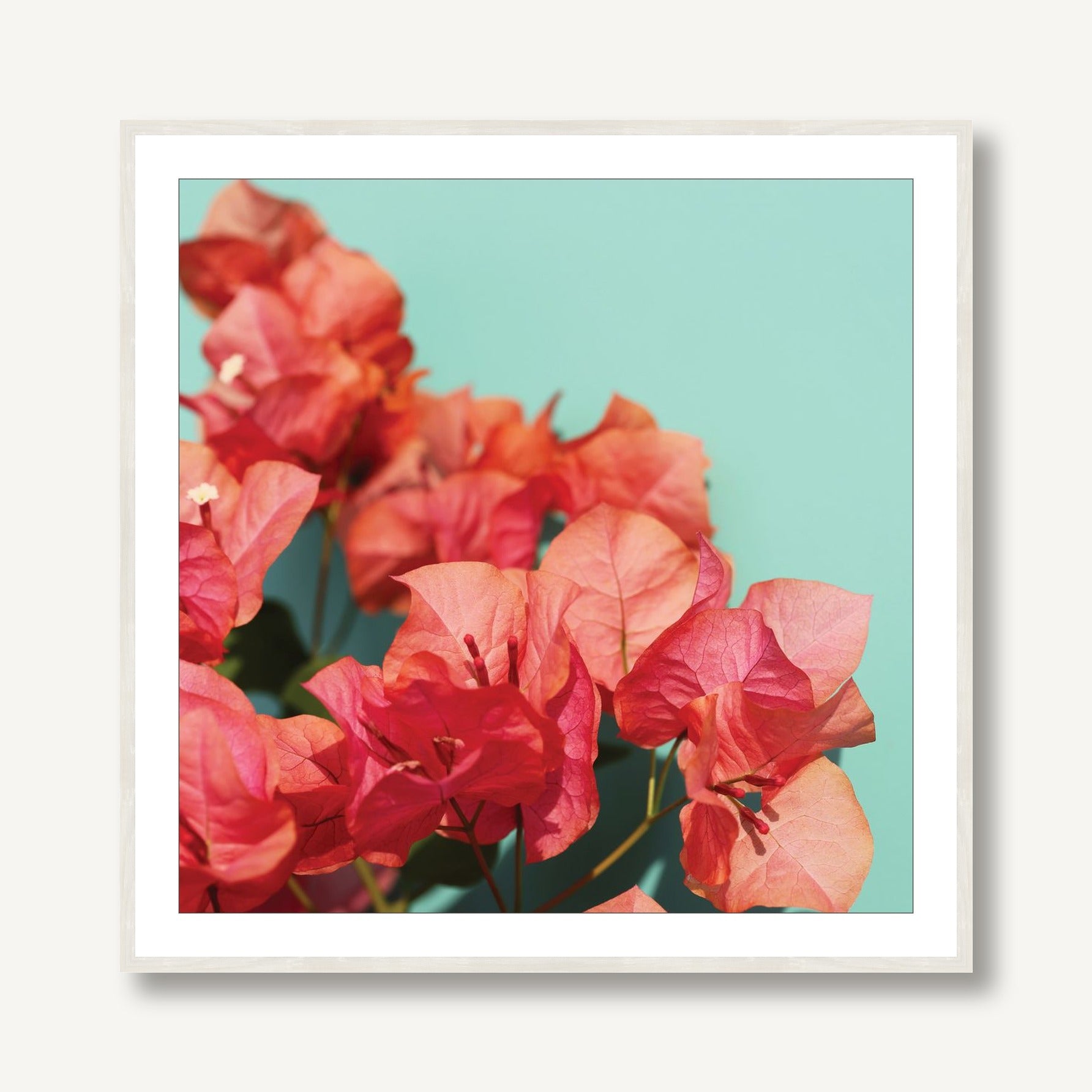 Bright Star 1 framed