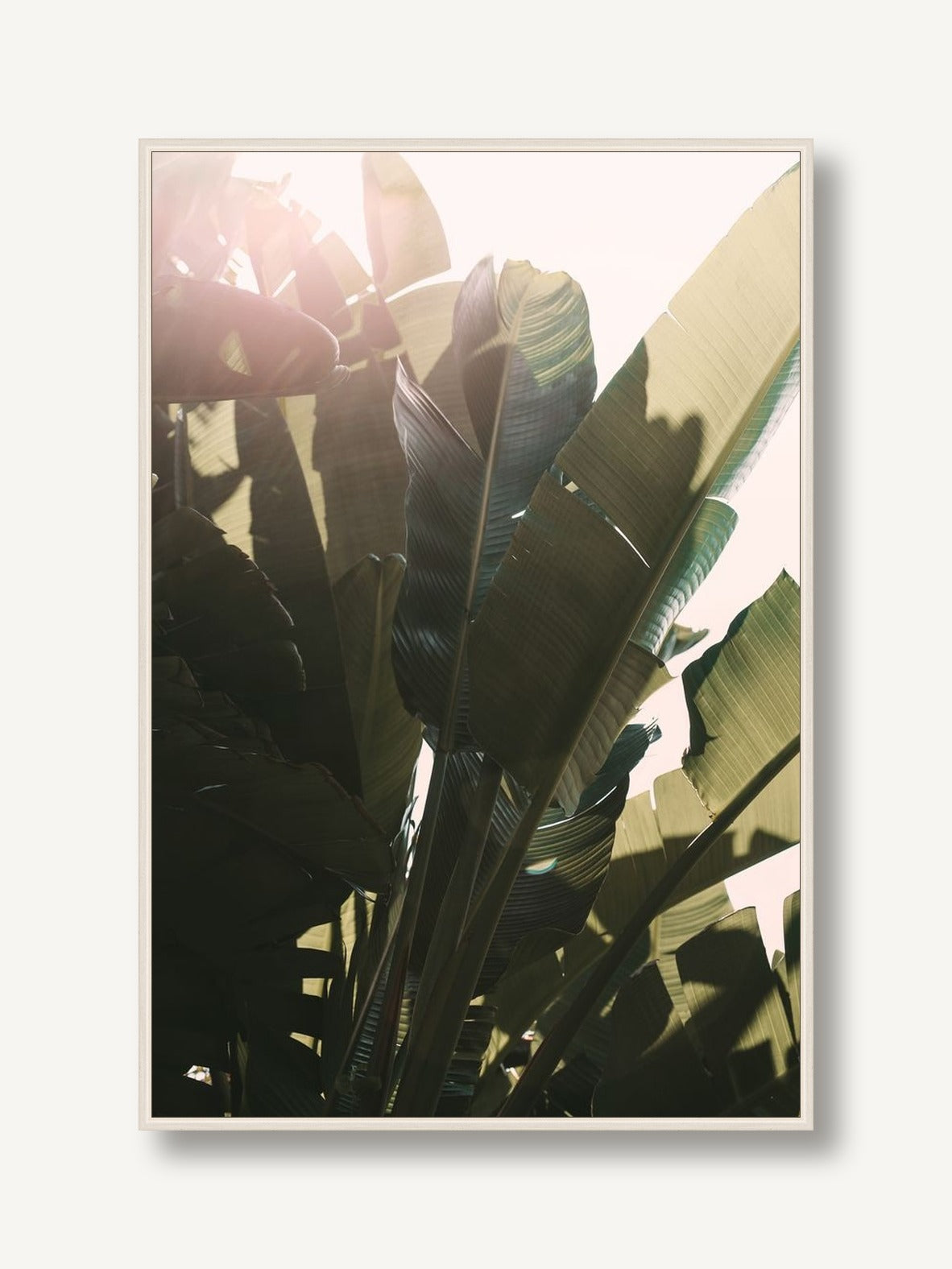 Green Heat 1 framed