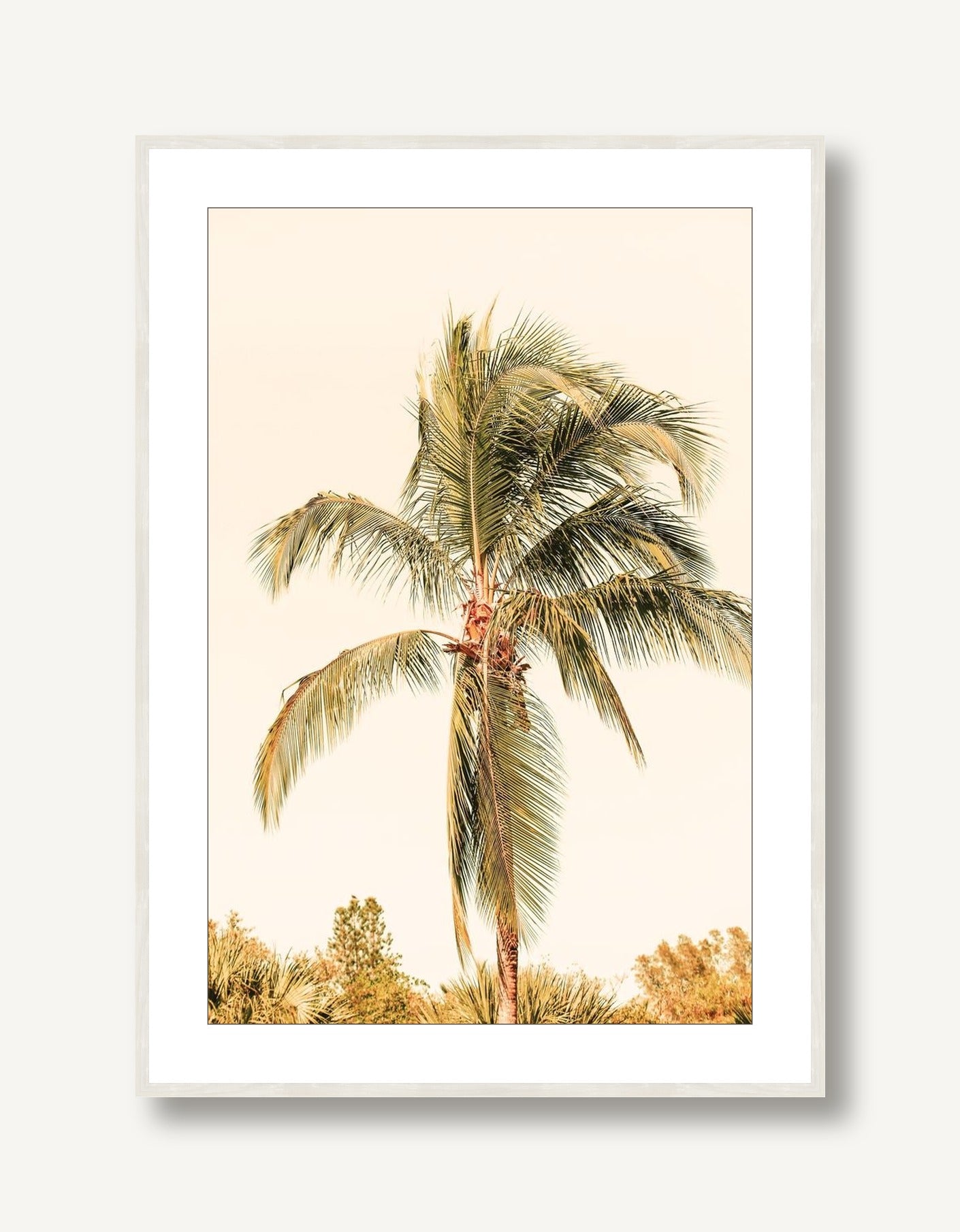 Island Palm 1 framed