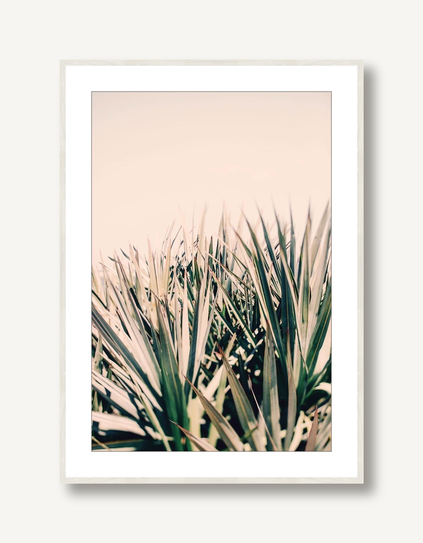 Palm Light 1 framed