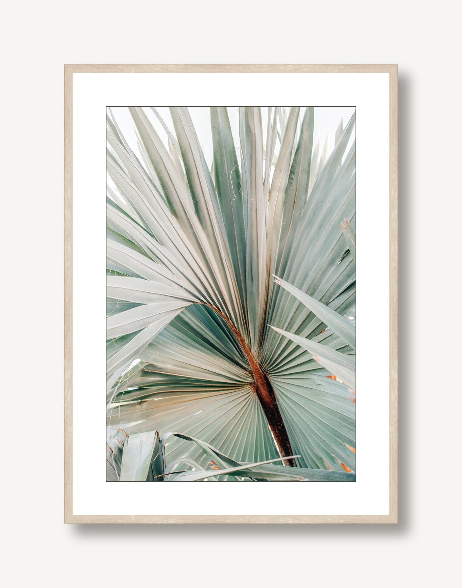 Soft Sage 1 framed