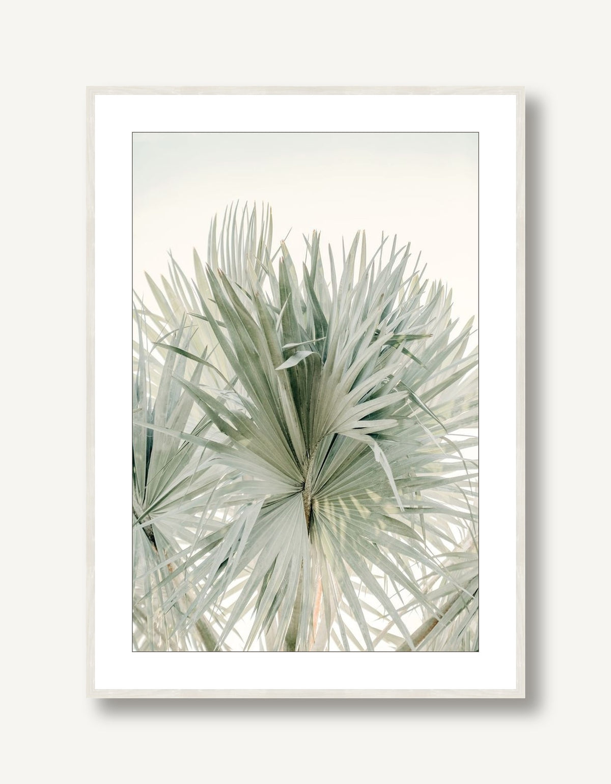 Sage Summer 1 framed