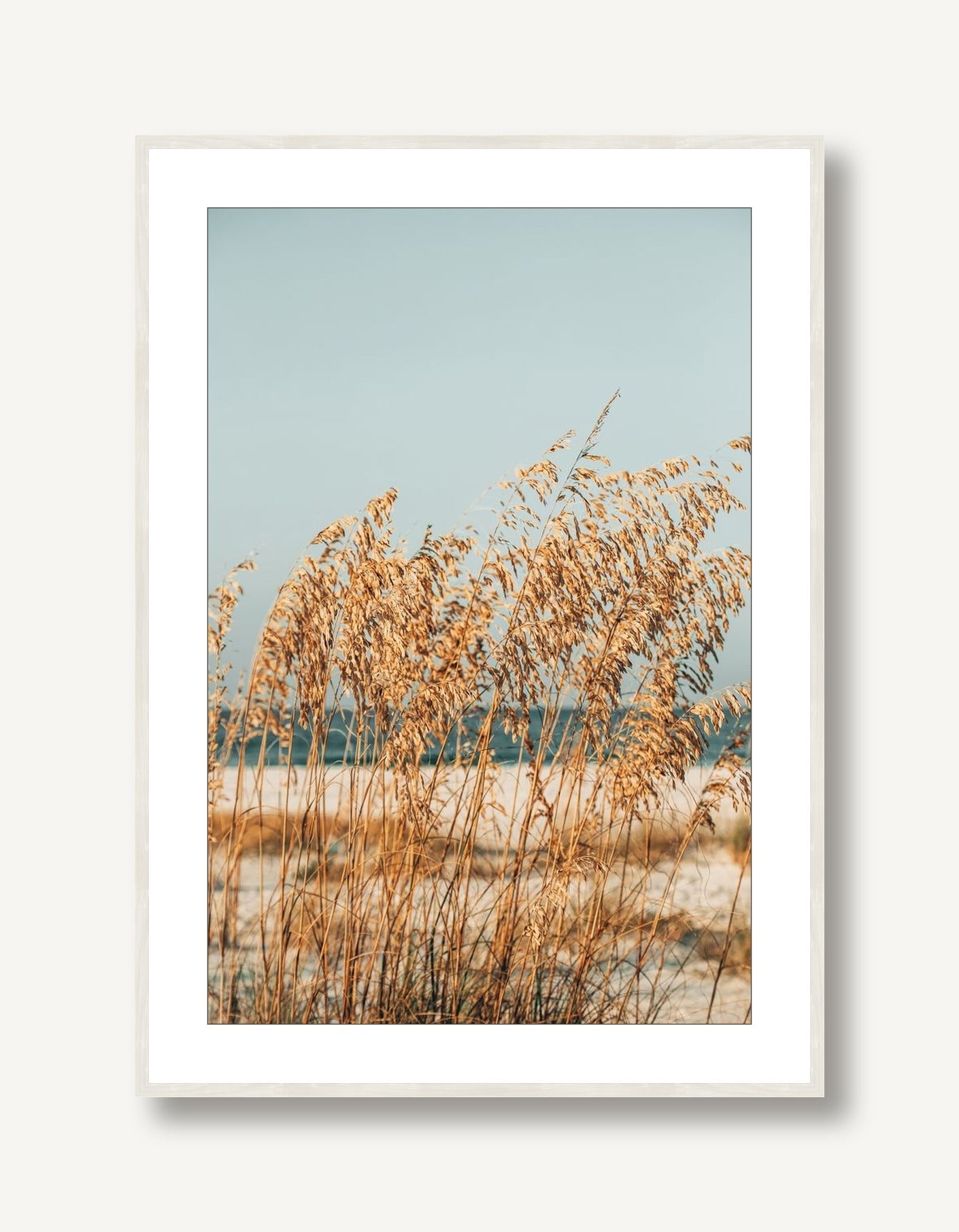 Sea Oats 1 framed