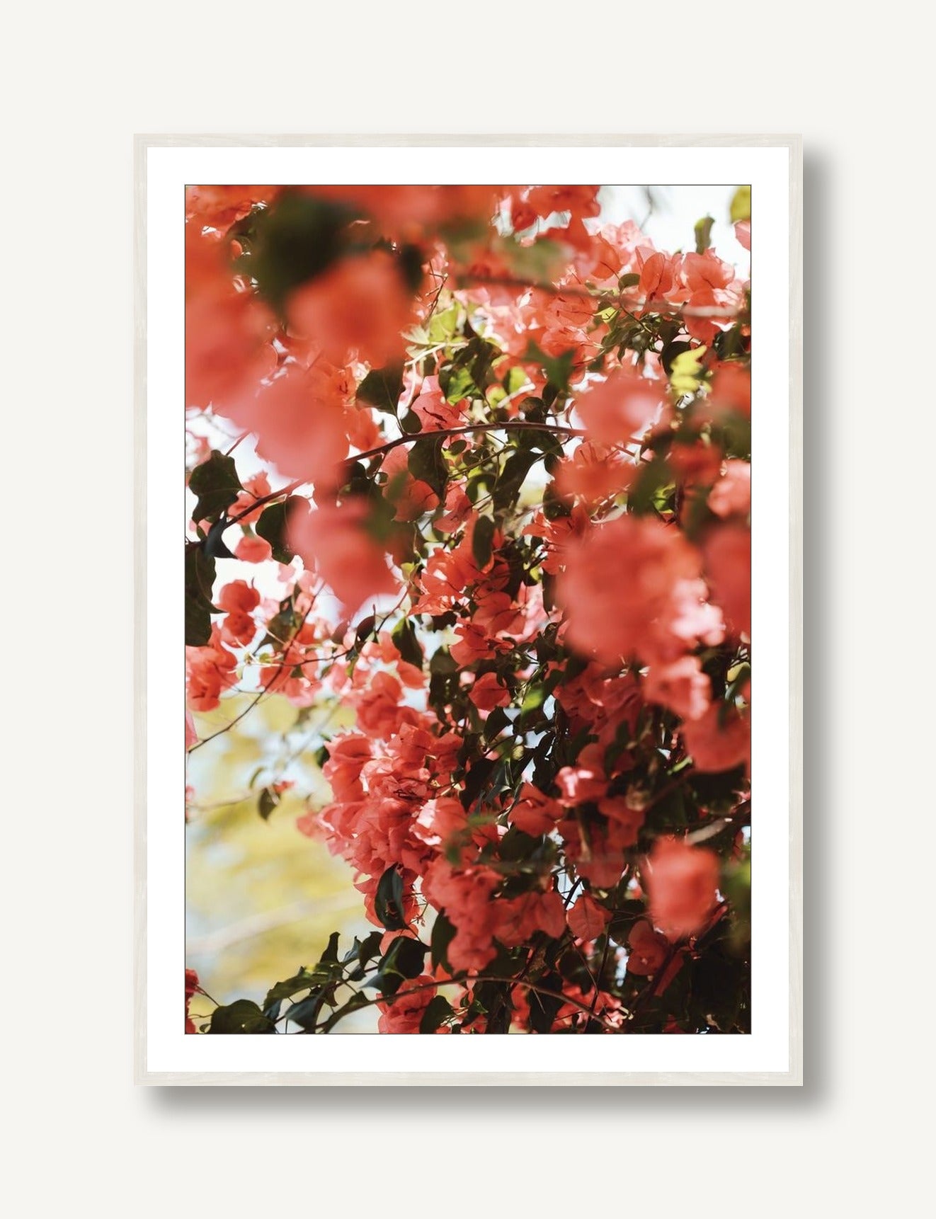 Southern Style 1 framed