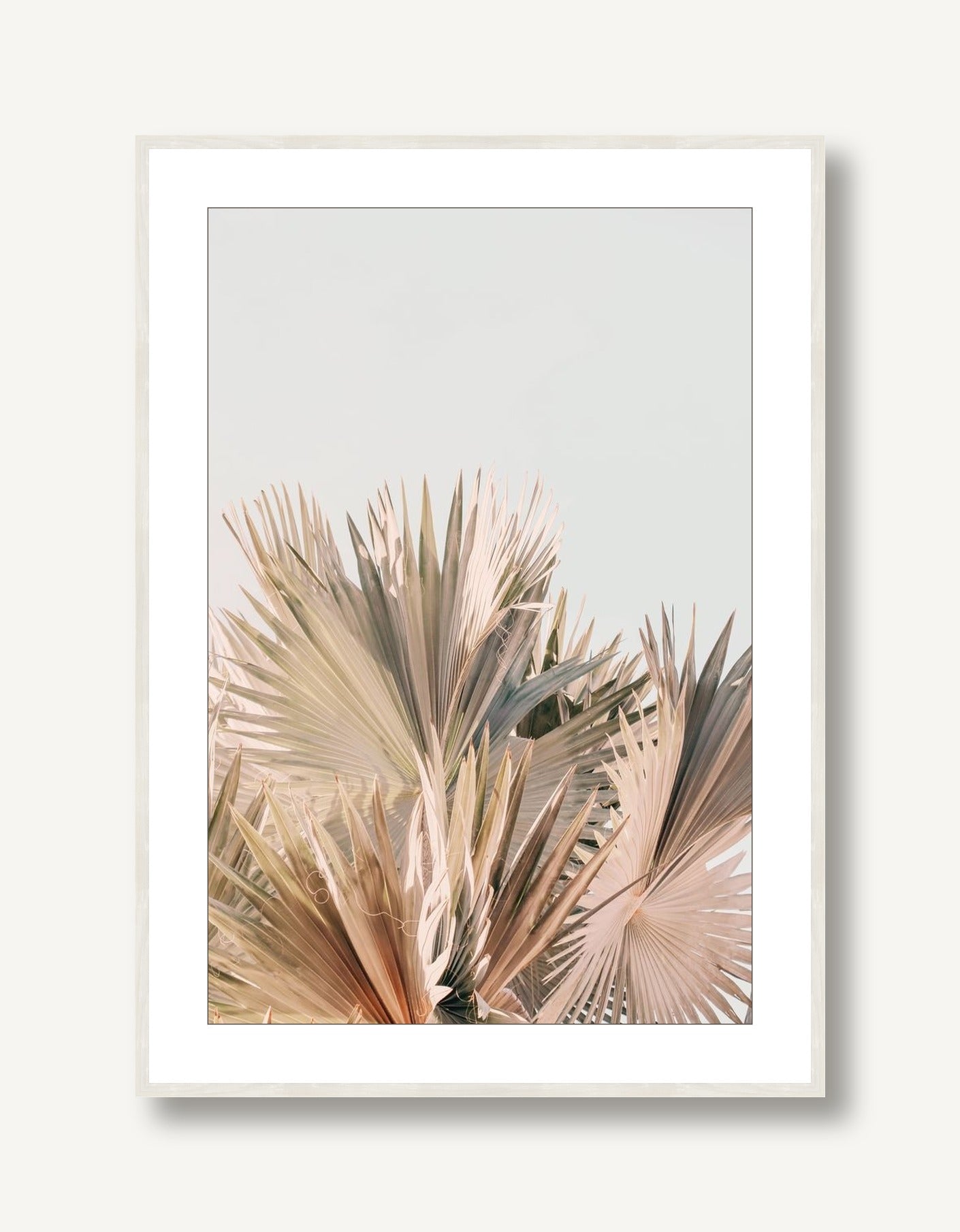Spring Palm 1 framed