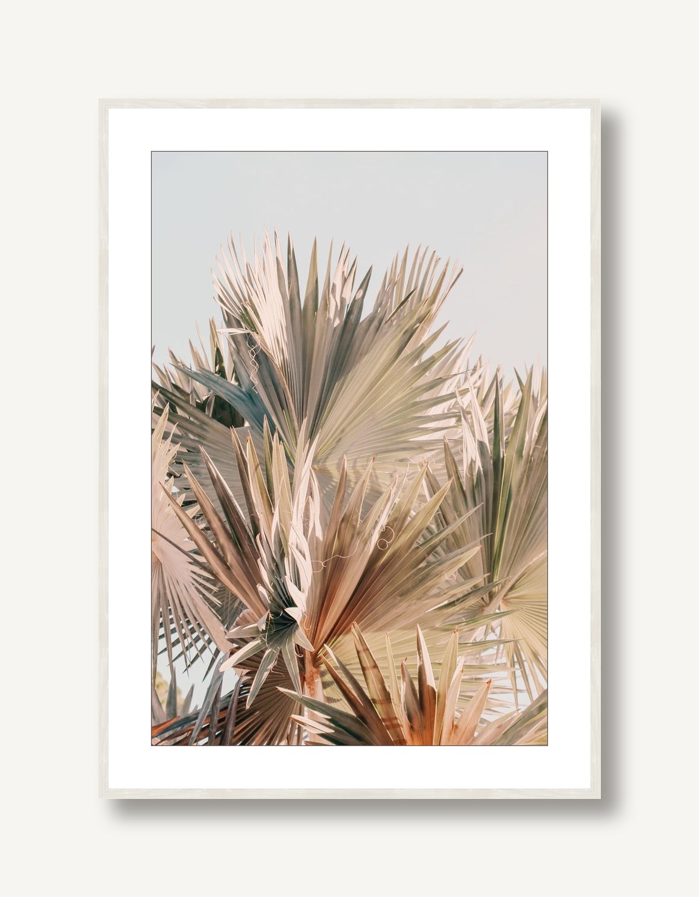 Spring Palm 2 framed