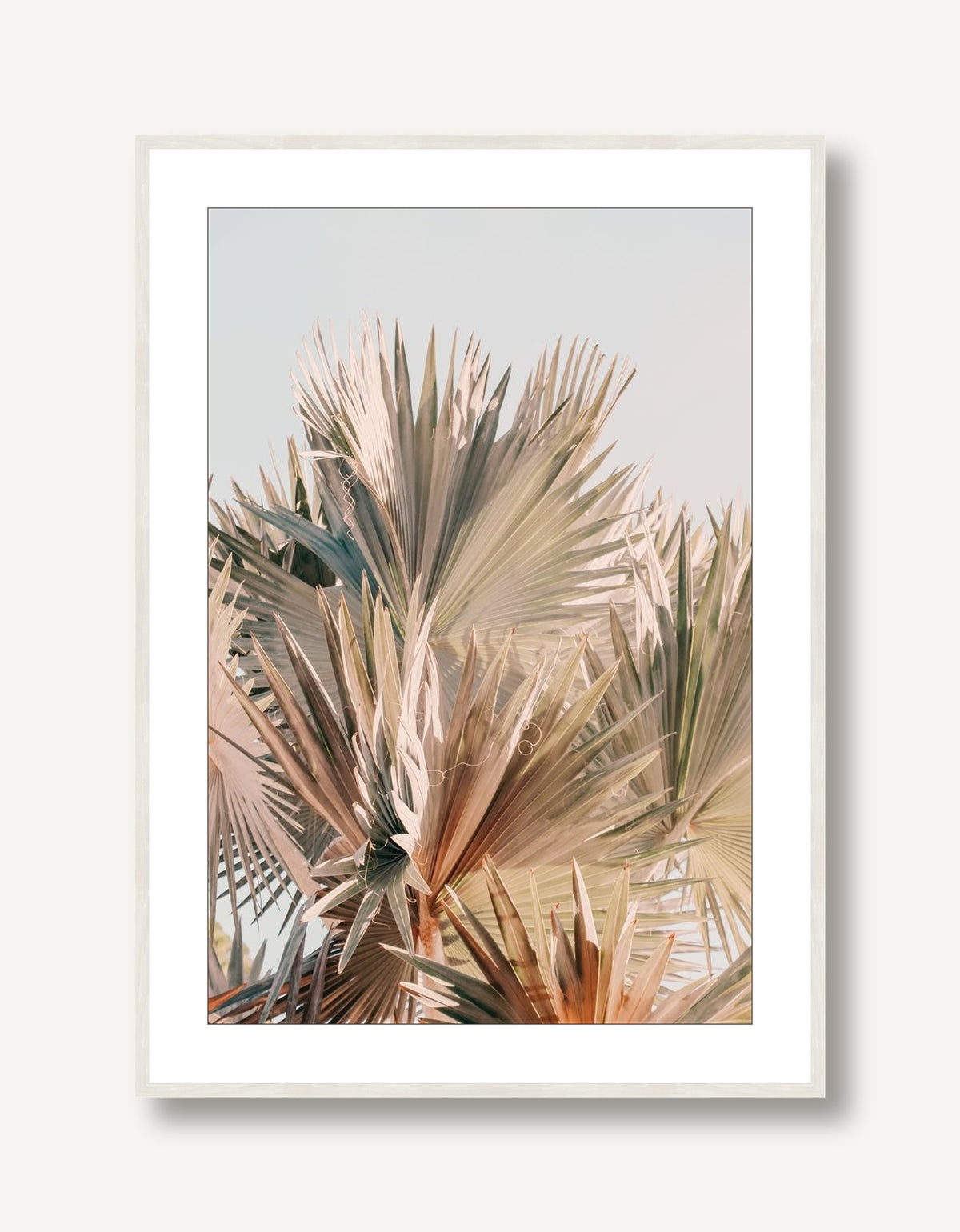 Spring Palm 2 framed