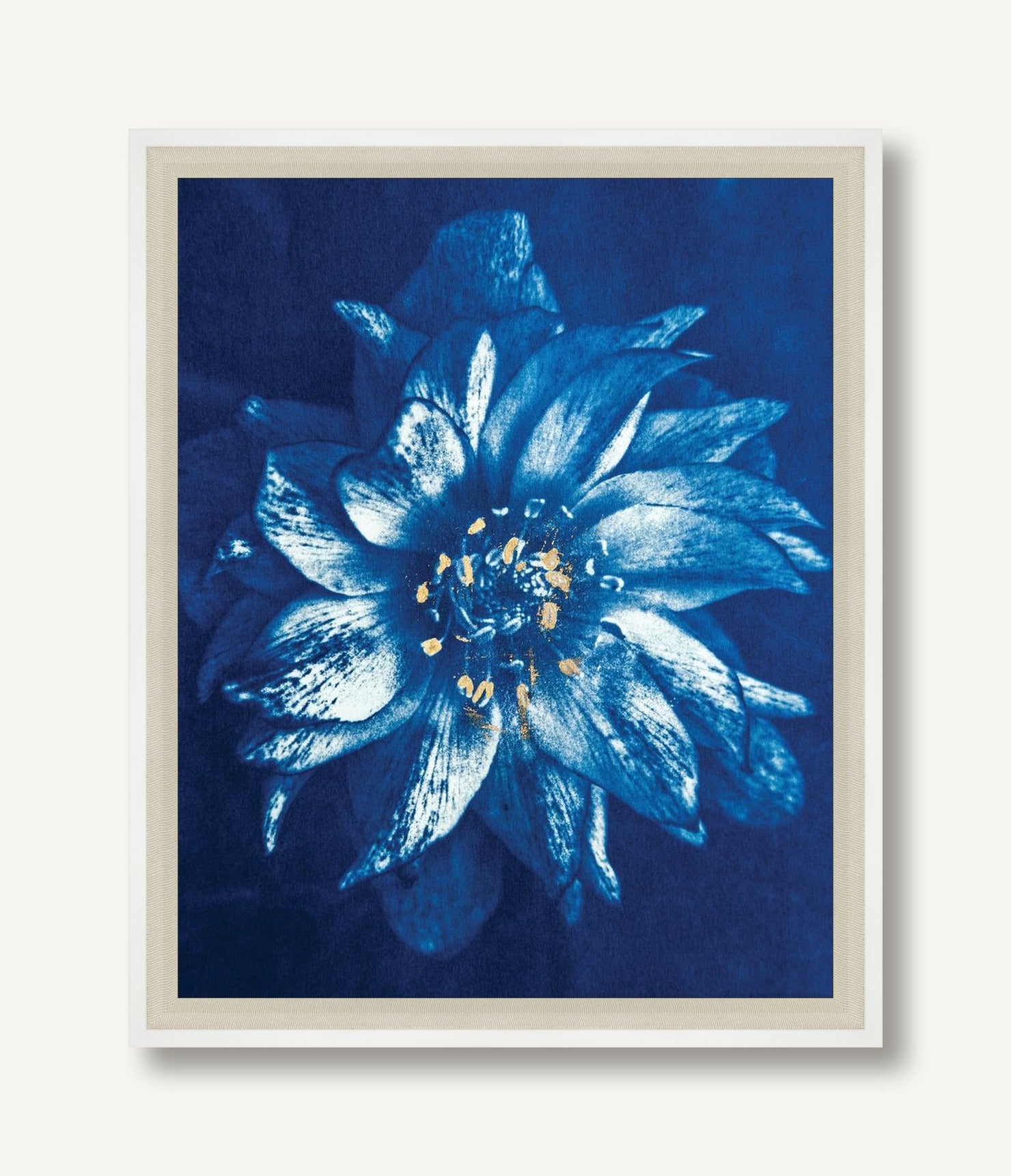 Anemone 1 framed