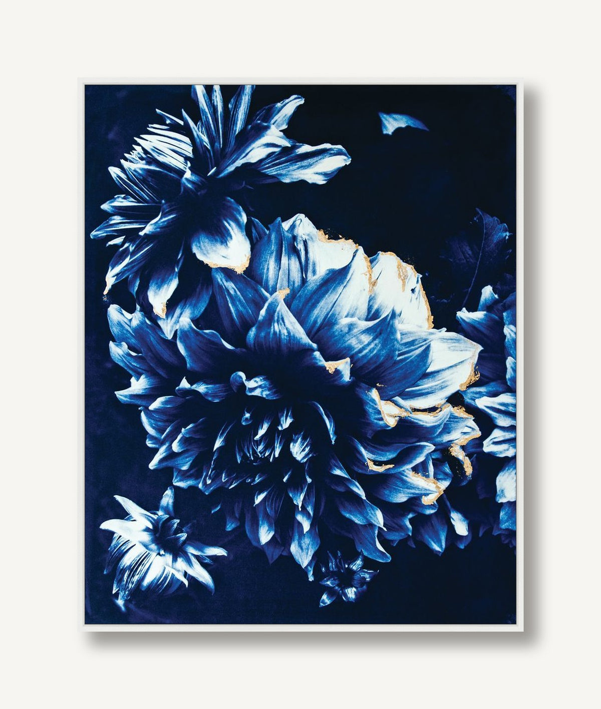 Blushing Dahlias 1 framed
